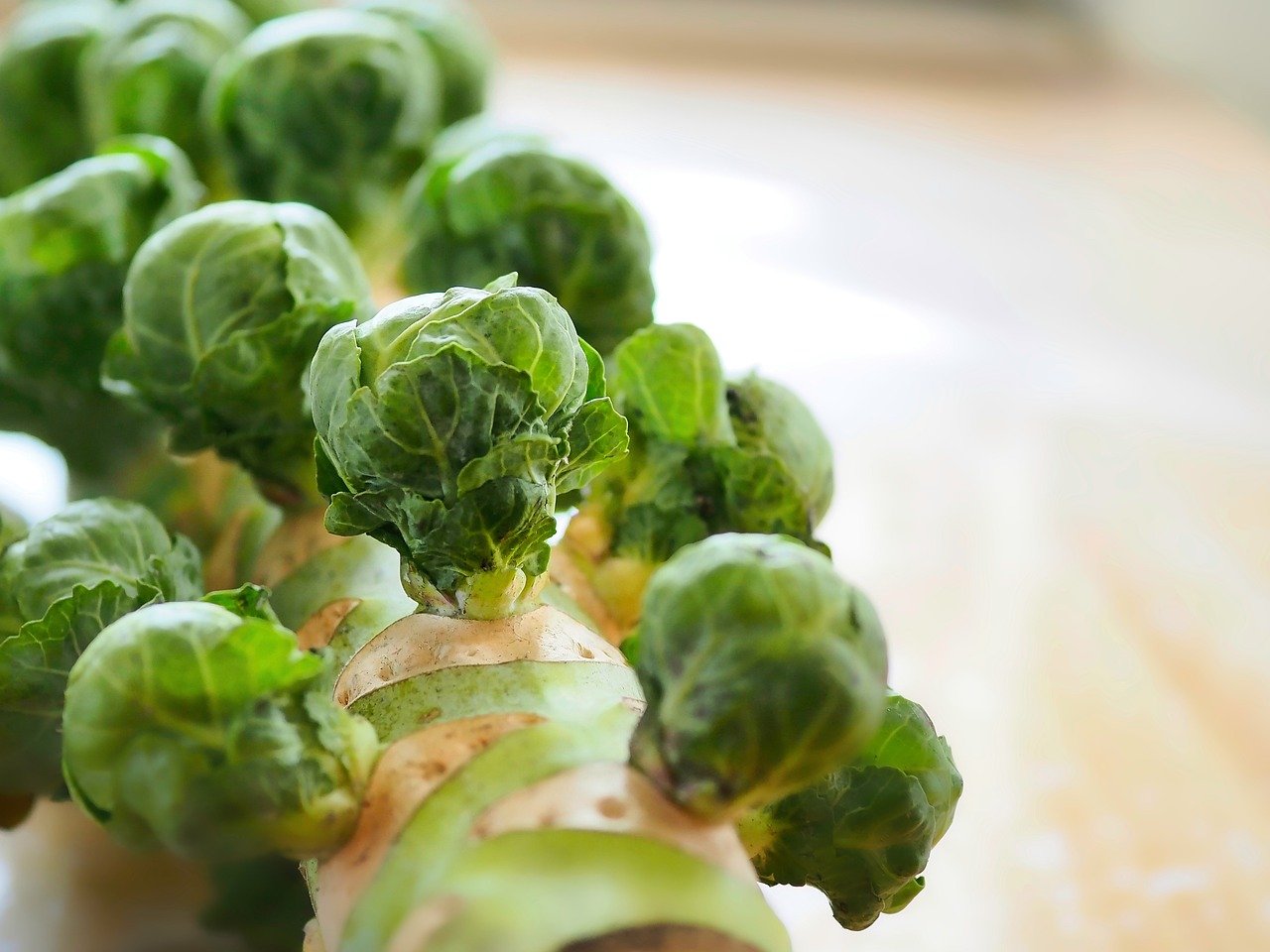 Tips for Creating a Balanced Meal Plan